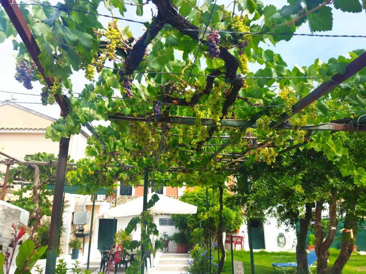 Rodia Kynopiástai Exterior foto